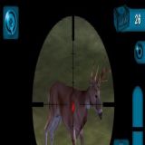 Download 3D Hunting Alaskan Hunt Cell Phone Game